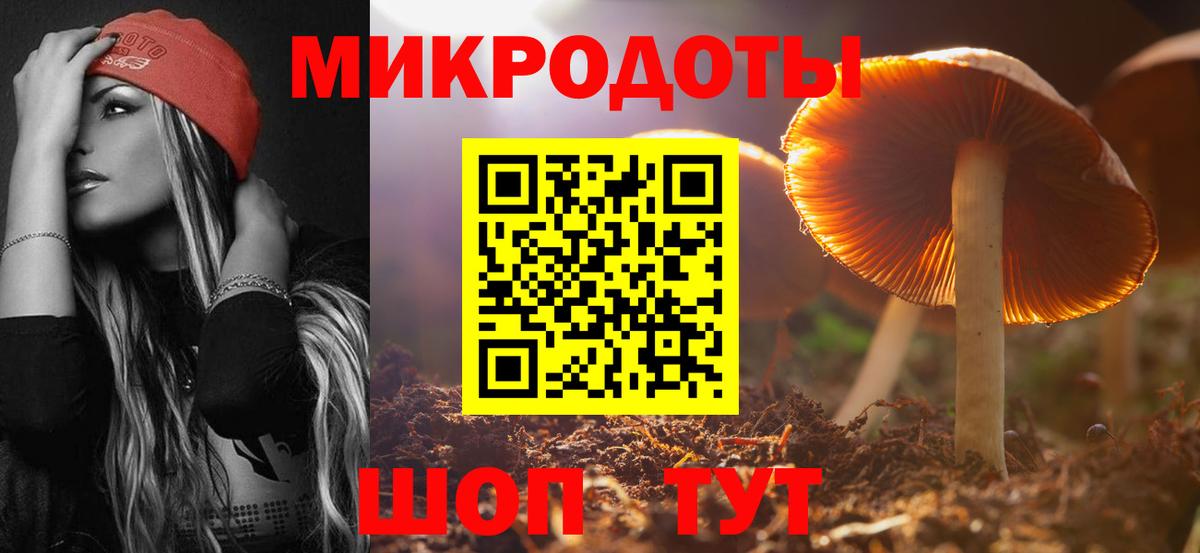Псилоцибиновые грибы ЛСД  Вход с VPN  как найти закладки  Псилоцибиновые грибы Psilocybe  Осинники 